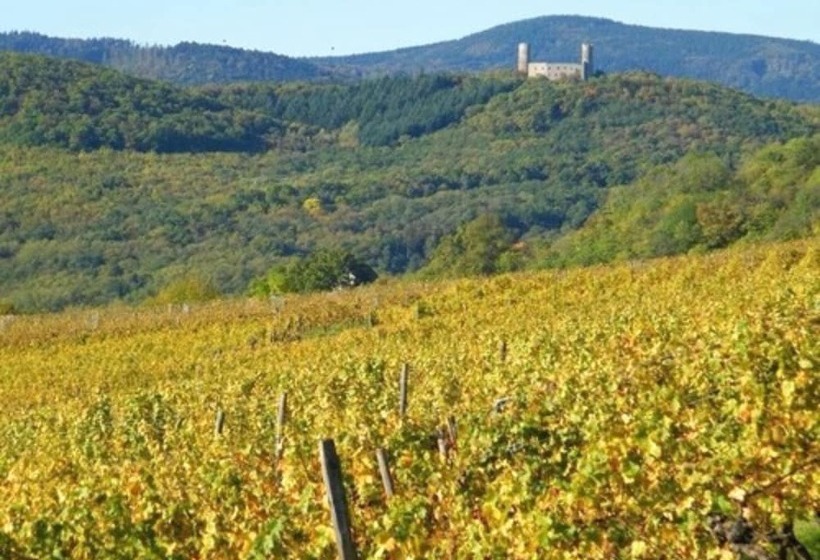 هتل Hôtel Le Manoir