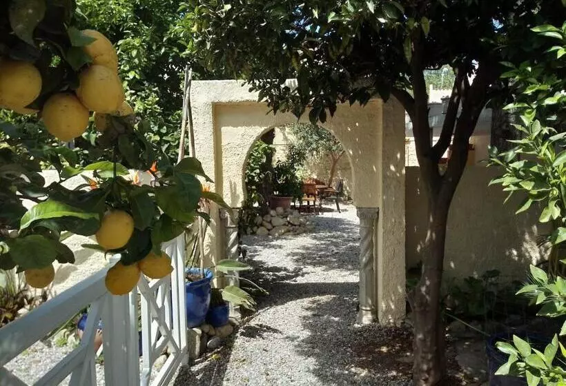 ベッドアンドブレックファースト L'Orangeraie