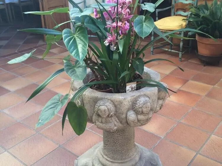 Mas De Vence Hotel Restaurant