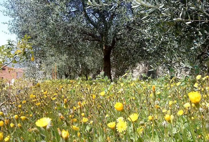 Mas De Vence Hotel Restaurant