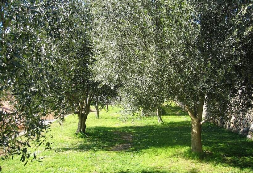 Mas De Vence Hotel Restaurant