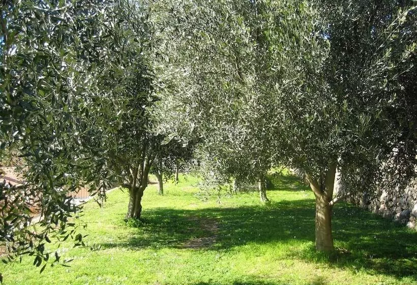 Mas De Vence Hotel Restaurant