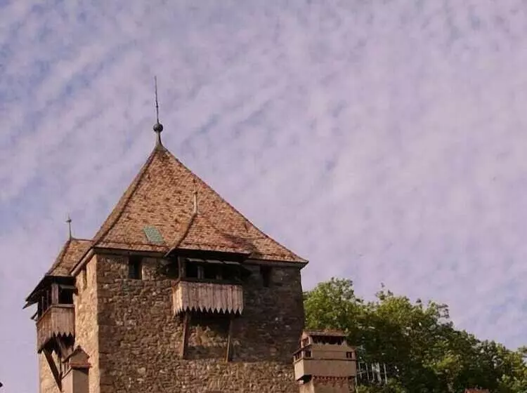 호텔 Château De Coudrée