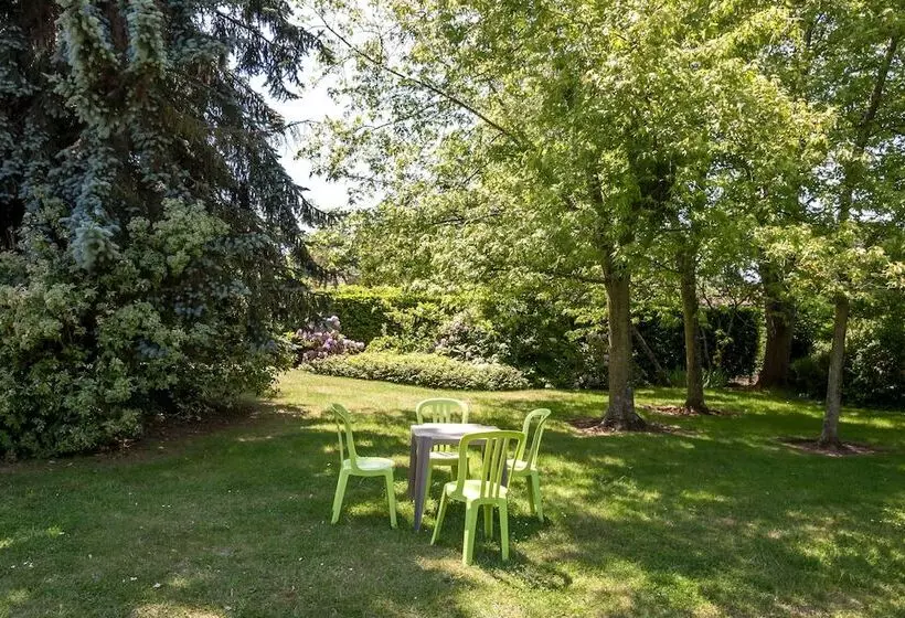 Отель Hôtel Saint Jacques