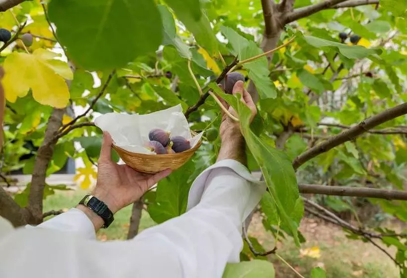 Hotel The Originals Access, Hostellerie Des Pins