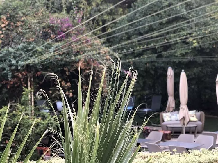 Отель Villa Victoria