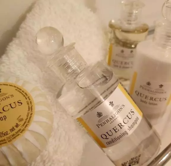 בית מלון כפרי Chateau La Chaire