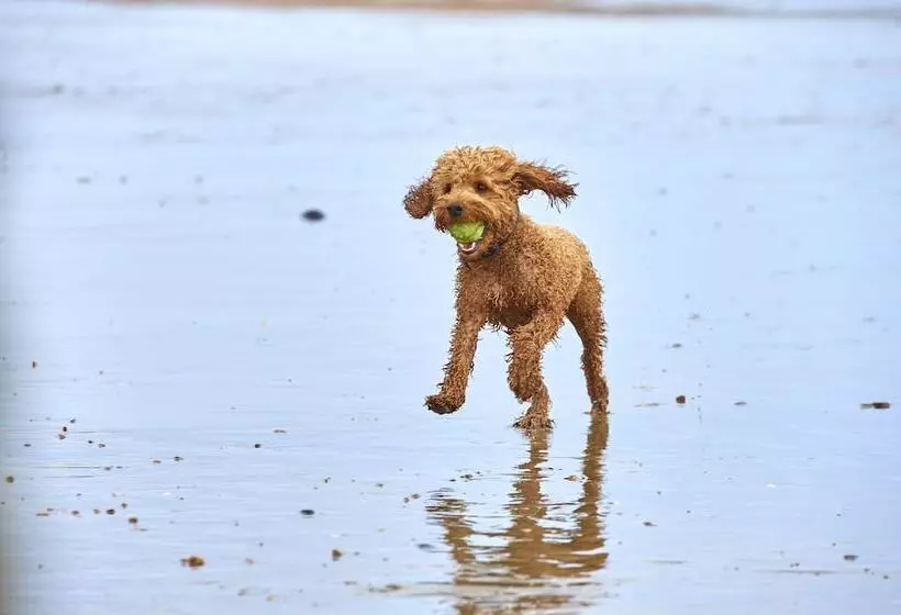 酒店 The Relais Cooden Beach