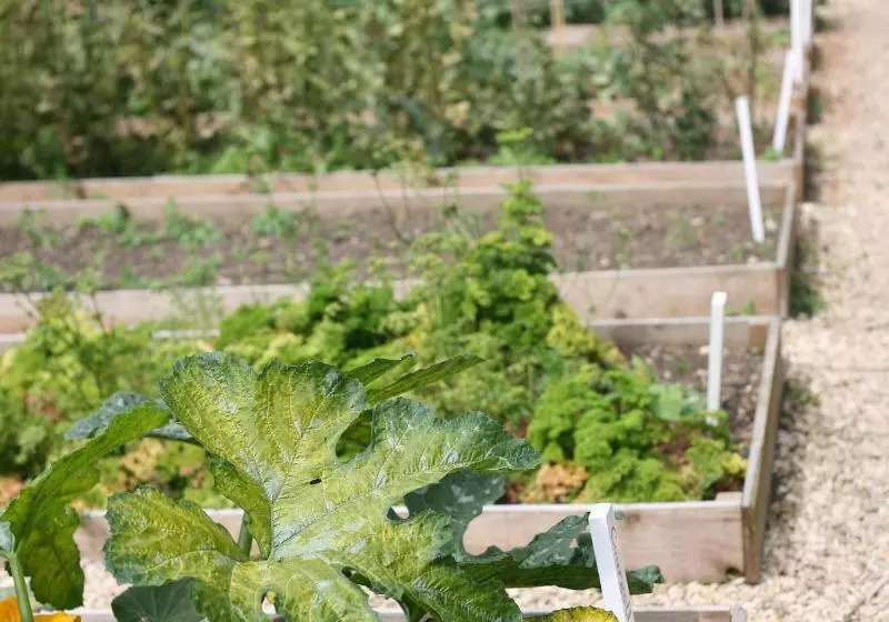 בית מלון כפרי The Bath Priory  A Relais & Chateaux