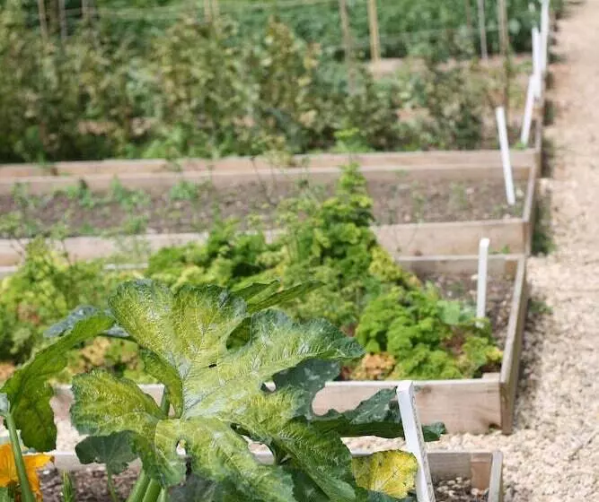 בית מלון כפרי The Bath Priory  A Relais & Chateaux