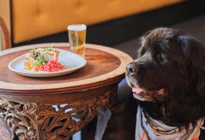 בית מלון כפרי The Old Ferry Inn