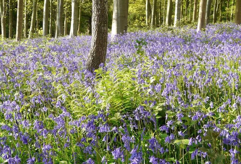 فندق Three Ways House