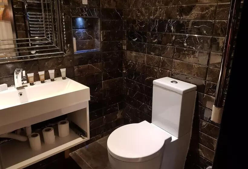 هتل Duke Of Leinster