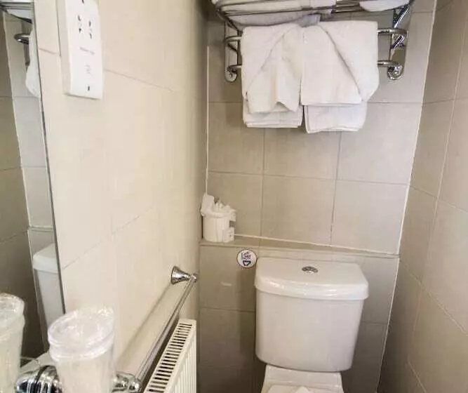 هتل Duke Of Leinster