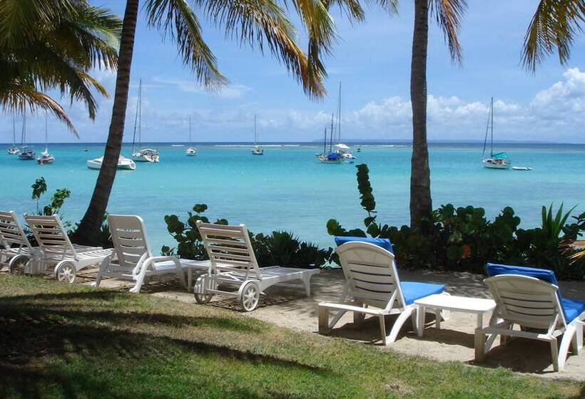 호텔 La Cocoteraie