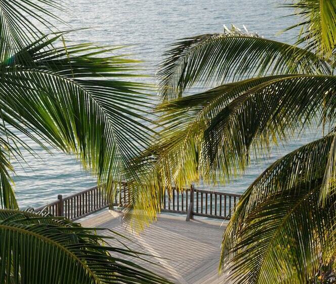 호텔 La Cocoteraie