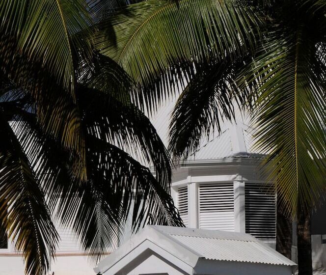 호텔 La Cocoteraie