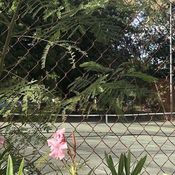 호텔 La Cocoteraie