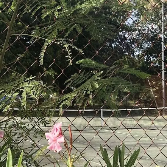 ホテル La Cocoteraie