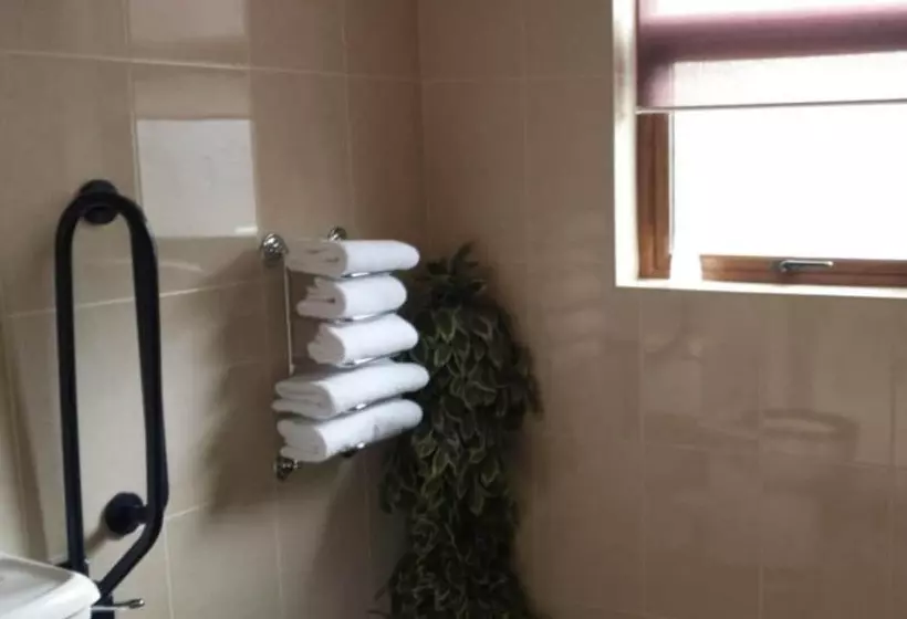 בית מלון כפרי Mourne Country