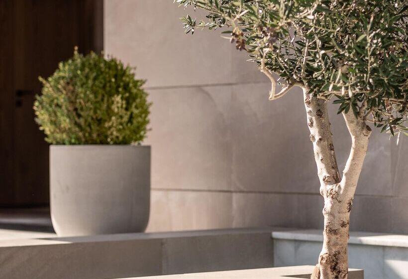 בית מלון כפרי Theartemis Palace