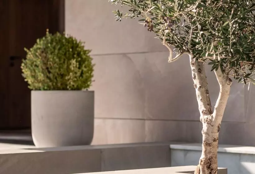 Hotel Theartemis Palace