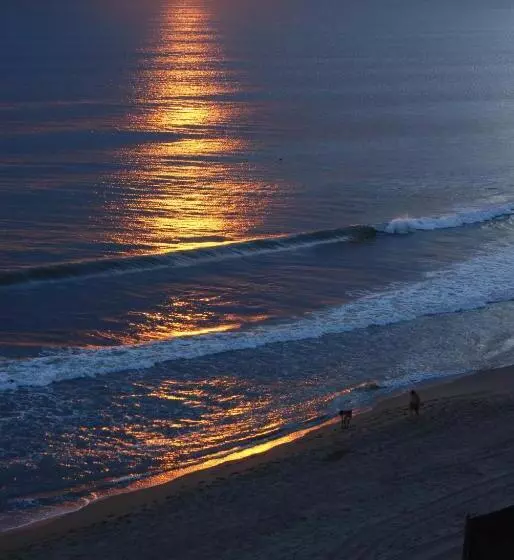 Отель Albergo Riviera Spineta