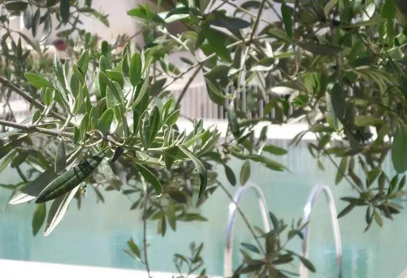 هتل Colle Del Sole