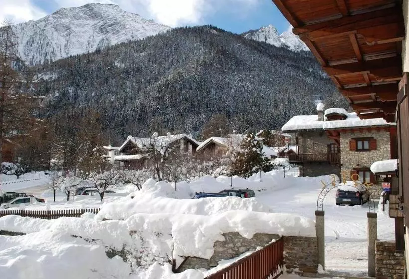 Отель Des Glaciers