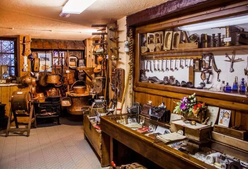 Отель Des Glaciers