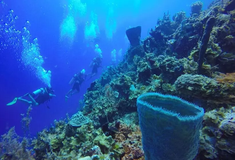 هتل Moulin Sur Mer