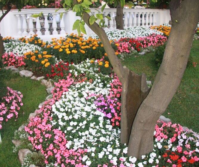 La Medusa Hotel   Dimora Di Charme