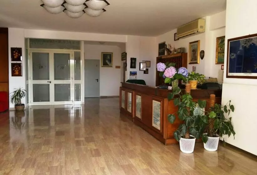 ホテル Central Park