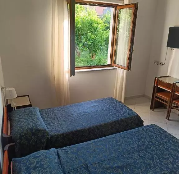 ホテル Central Park