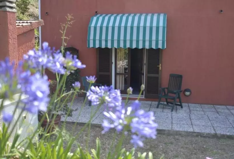 בית מלון כפרי La Feluca