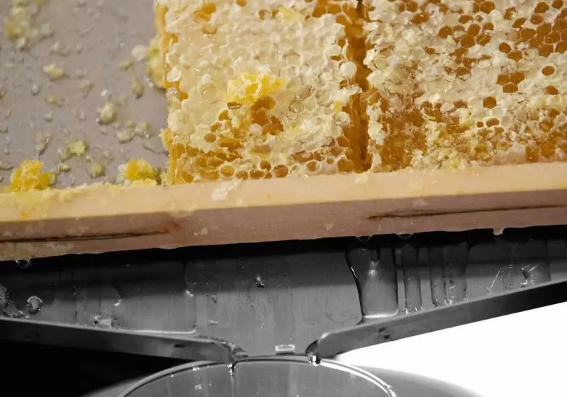 בית מלון כפרי Park