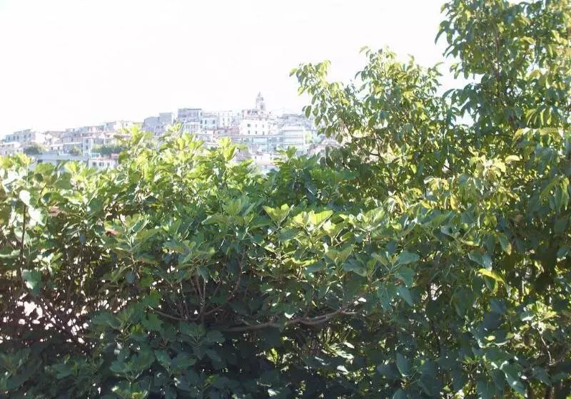 Отель San Marco