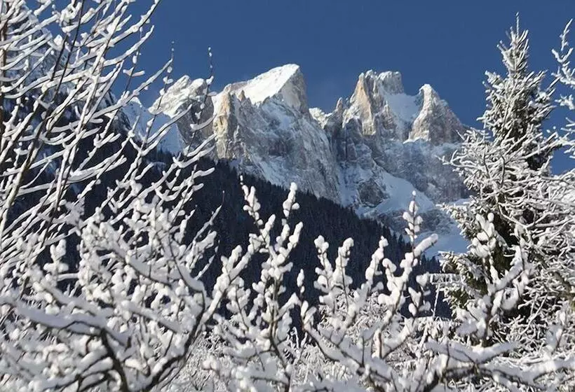 ホテル Stella Alpina