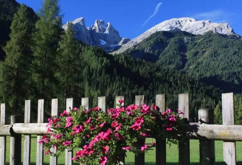 ホテル Stella Alpina