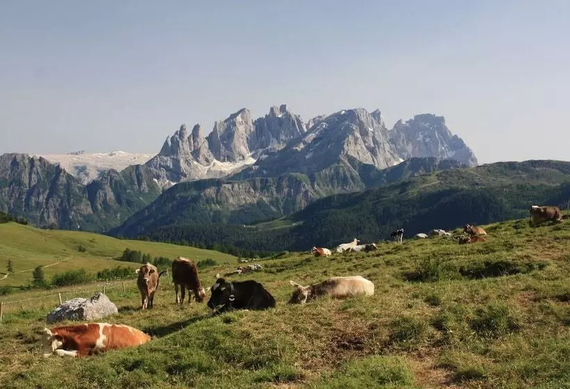 ホテル Stella Alpina