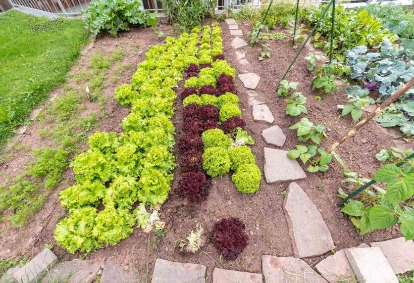 Solaia Hotel & Guesthouse