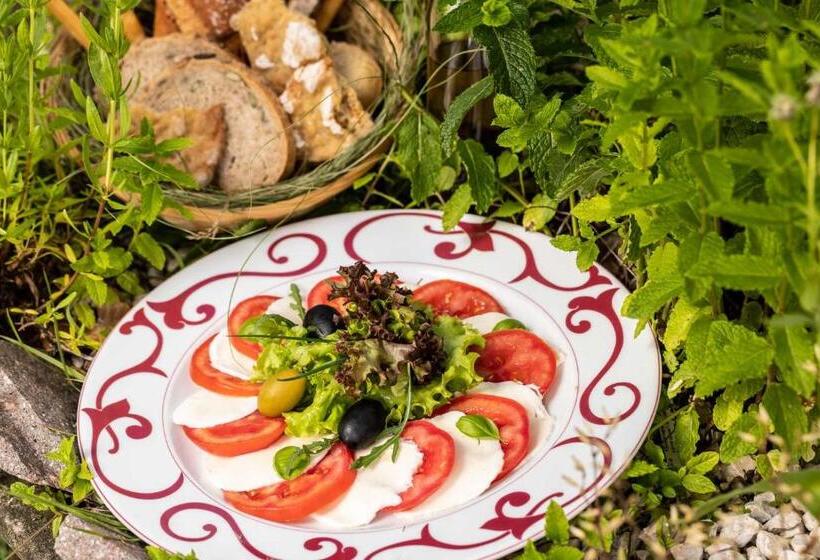 Solaia Hotel & Guesthouse