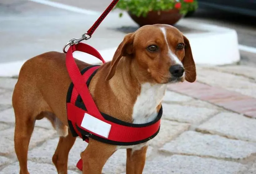 هتل Luci Di La Muntagna