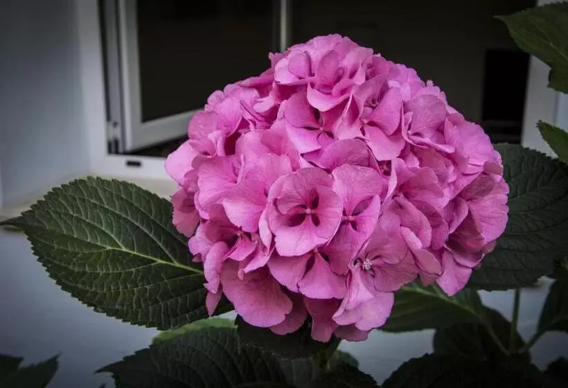 Отель Riviera Blu