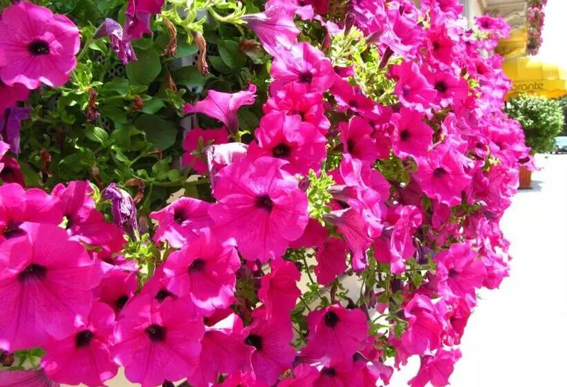 ホテル Europalace