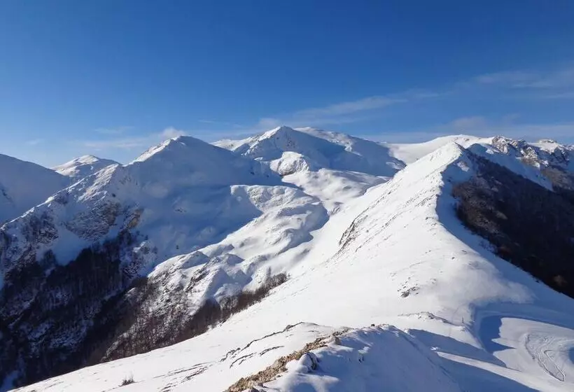 Отель Garnì Mille Pini