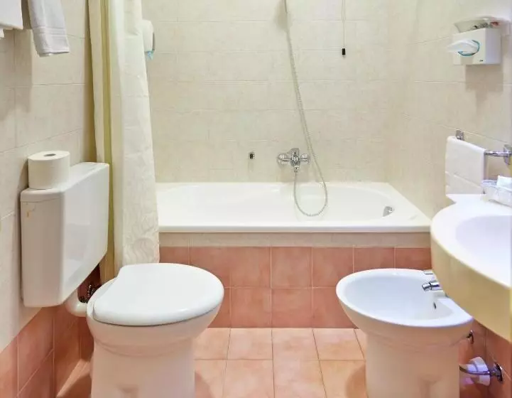 酒店 Napoleon Susa