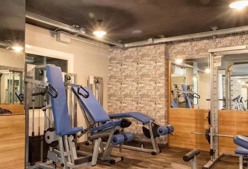 酒店 Napoleon Susa