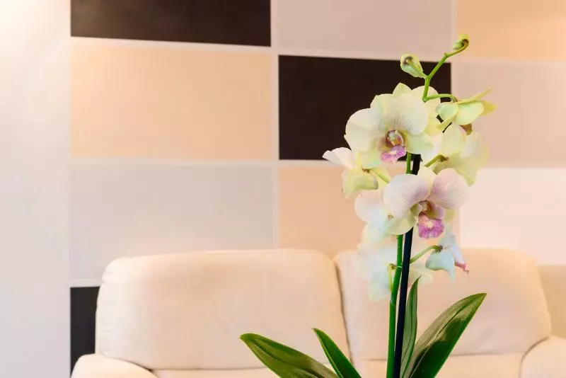 בית מלון כפרי Primavera