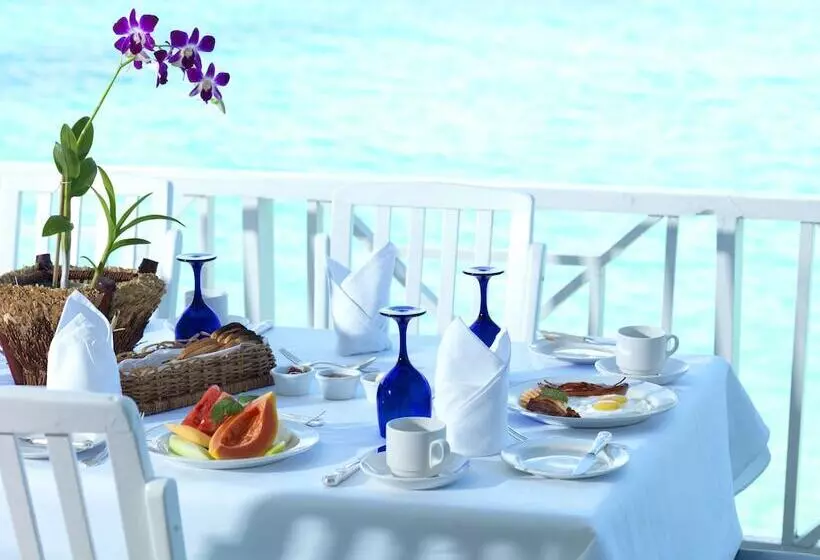 ホテル Jamaica Inn